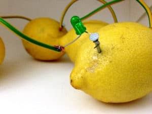 lemon-battery
